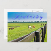 Briefkaart van Kentucky. Paarden op het boerderij. (Voorkant / Achterkant)