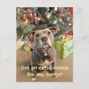 Briefkaart van Kerstmis van het Koekje van Pitbull