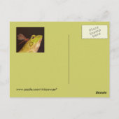 Briefkaart van kikker en libellen (Achterkant)
