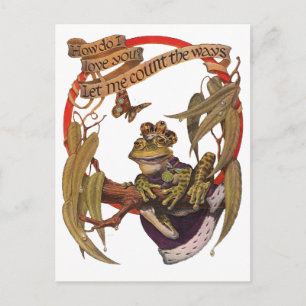 Briefkaart van Kikkerpins