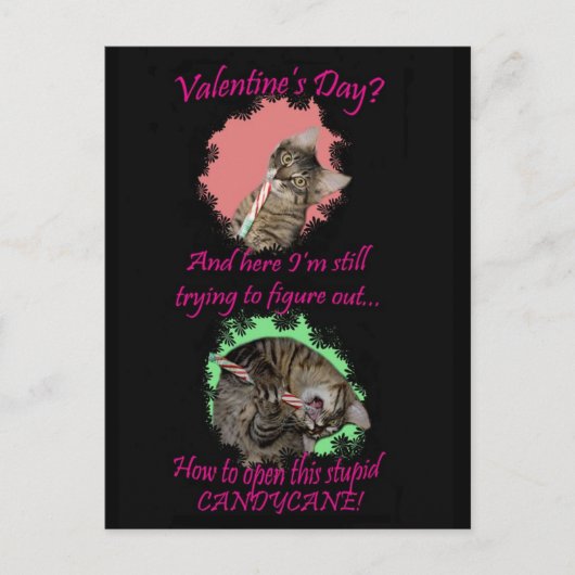 Briefkaart van Kimber Candycane Valentijns (Voorkant)