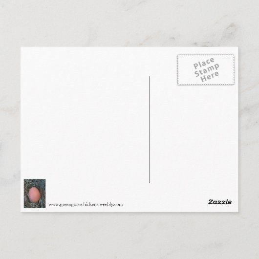Briefkaart van kippen (Achterkant)