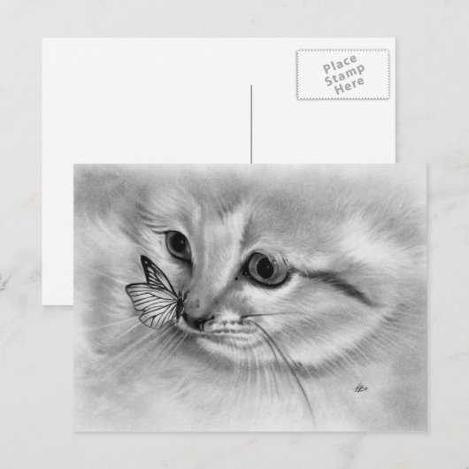 Briefkaart van Kitten Butterfly (Voorkant / Achterkant)