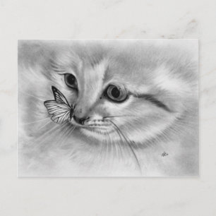 Briefkaart van Kitten Butterfly
