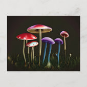 Briefkaart van kleurrijke paddenstoelen (Voorkant)