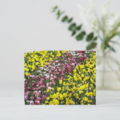 Briefkaart van kleurrijke tuin (Staand voorkant)