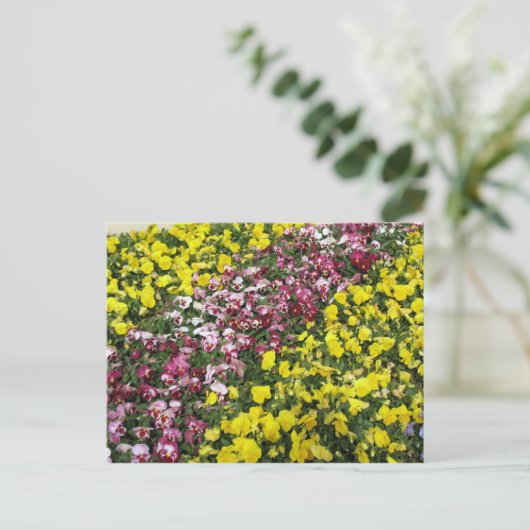 Briefkaart van kleurrijke tuin (Staand voorkant)