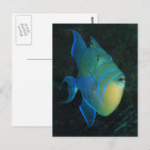 Briefkaart van koningin (Voorkant / Achterkant)