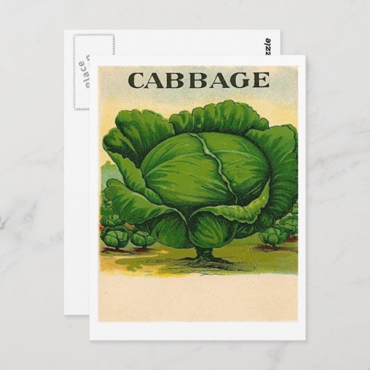 briefkaart van  koolzaadpakket (Voorkant / Achterkant)