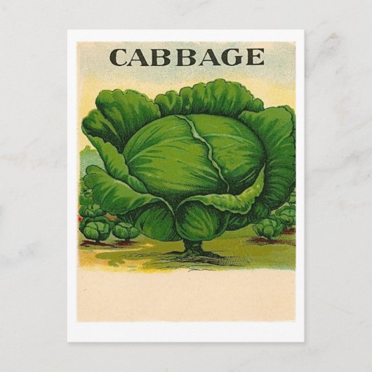 briefkaart van  koolzaadpakket (Voorkant)