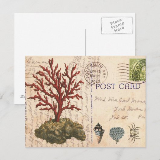 briefkaart van  koraal en zeeschildpadden (Voorkant / Achterkant)