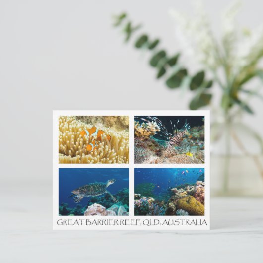 Briefkaart van koraal Zee (Staand voorkant)