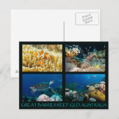 Briefkaart van koraal Zee (Voorkant / Achterkant)