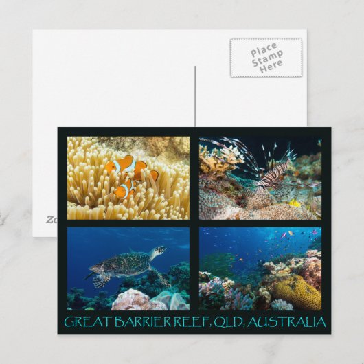 Briefkaart van koraal Zee (Voorkant / Achterkant)