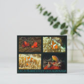 Briefkaart van koraal Zee - Clownvis (Staand voorkant)