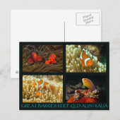 Briefkaart van koraal Zee - Clownvis (Voorkant / Achterkant)