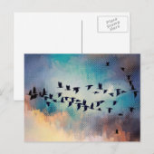 Briefkaart van kuddes (Voorkant / Achterkant)