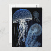 Briefkaart van kwallen (Voorkant / Achterkant)