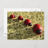 Briefkaart van Ladybugs (Voorkant / Achterkant)
