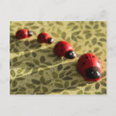 Briefkaart van Ladybugs (Voorkant)