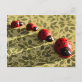 Briefkaart van Ladybugs