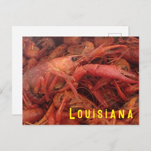 Briefkaart van langoesten (Voorkant / Achterkant)