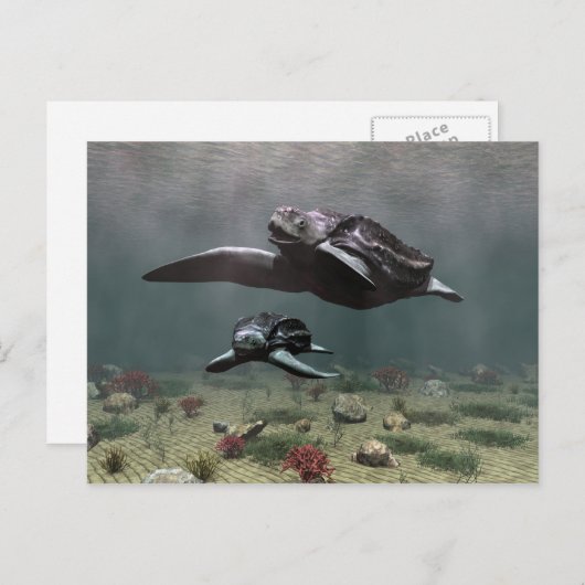 Briefkaart van lederschildpad (Voorkant / Achterkant)
