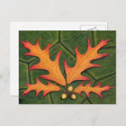 Briefkaart van lek-cluster (Voorkant / Achterkant)