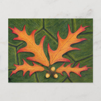 Briefkaart van lek-cluster