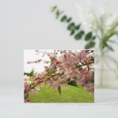 Briefkaart van lente-bloesems (Staand voorkant)