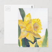 Briefkaart van lente-dedils (Voorkant / Achterkant)