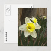 Briefkaart van lente-dedils (Voorkant / Achterkant)