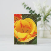 Briefkaart van lentetelers (Staand voorkant)