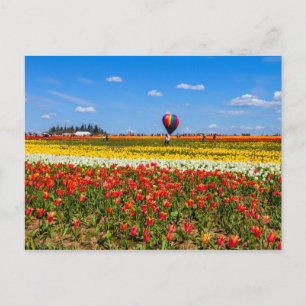 Briefkaart van lentetelers