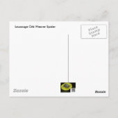 Briefkaart van Leucauge Orb Weaver Spider (Achterkant)