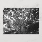 Briefkaart van levensloop (Voorkant)