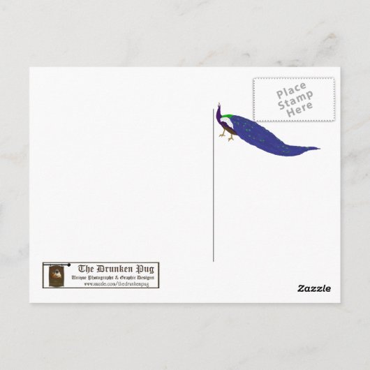 Briefkaart van levensloop (Achterkant)