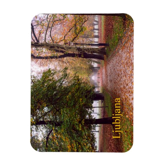 Briefkaart van Ljubljana Magneet (Verticaal)