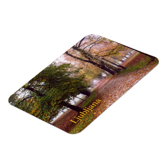 Briefkaart van Ljubljana Magneet (Linkerzijde)