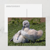 Briefkaart van lomp (Voorkant / Achterkant)