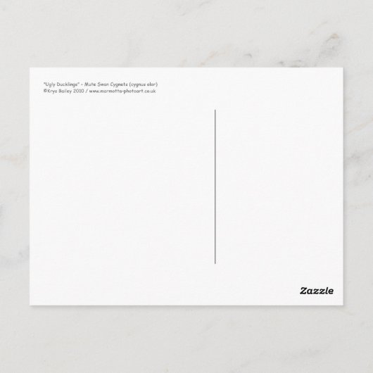 Briefkaart van lomp (Achterkant)