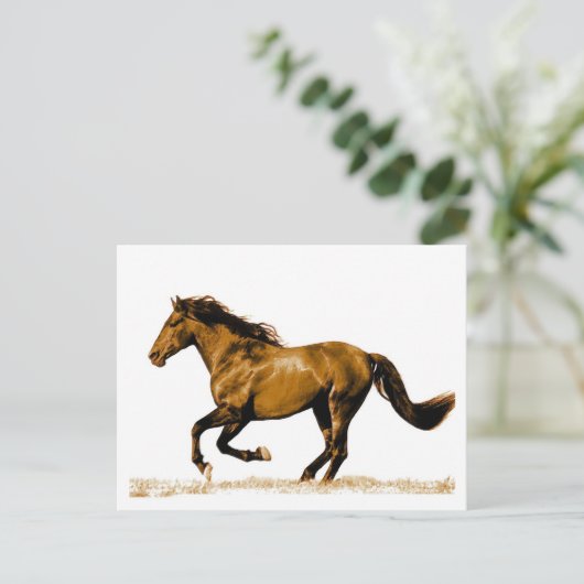 Briefkaart van looppaarden (Staand voorkant)