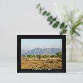 briefkaart van Los Alamos, Nr Chirivel, Spanje (Staand voorkant)