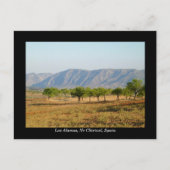  briefkaart van Los Alamos, Nr Chirivel, Spanje (Voorkant)