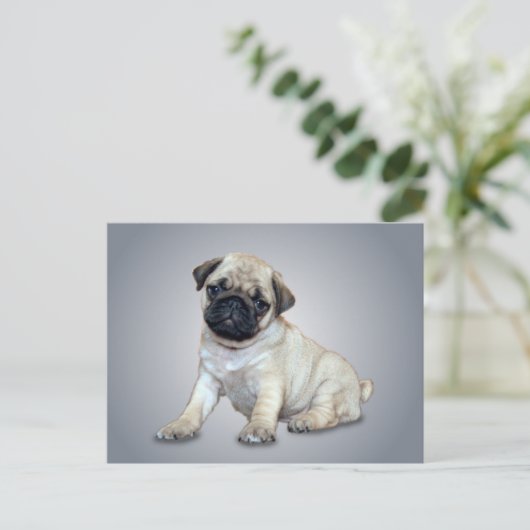 Briefkaart van Lovely Pug (Staand voorkant)