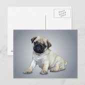 Briefkaart van Lovely Pug (Voorkant / Achterkant)