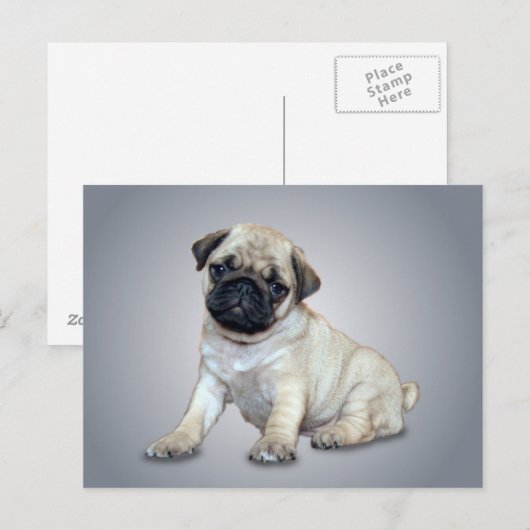 Briefkaart van Lovely Pug (Voorkant / Achterkant)