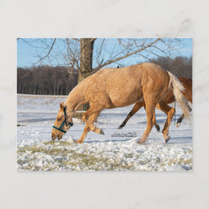 Briefkaart van Lugos krijgen take-out