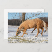 Briefkaart van Lugos krijgen take-out (Voorkant / Achterkant)