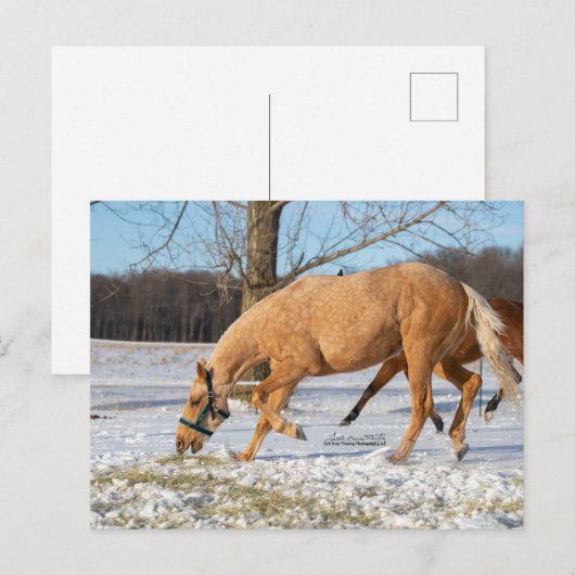 Briefkaart van Lugos krijgen take-out (Voorkant / Achterkant)